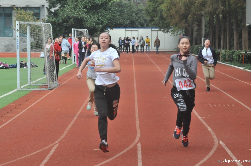 1448261817128329.jpg DSC_4411.jpg---2.jpg